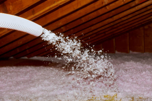 Best Insulation Removal  in La Vernia, TX