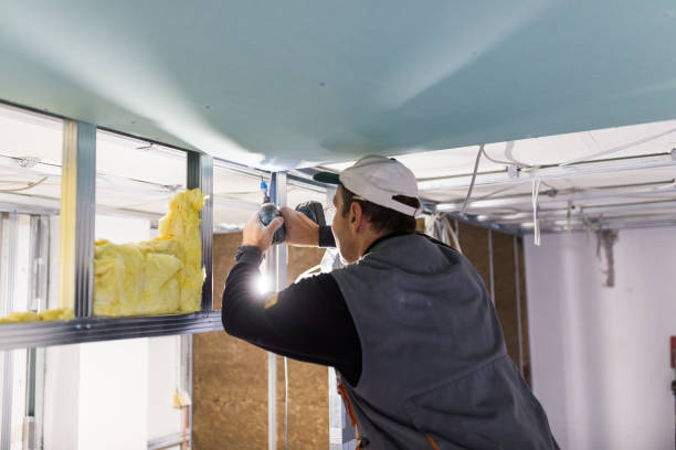 Best Insulation Installation Cost  in La Vernia, TX