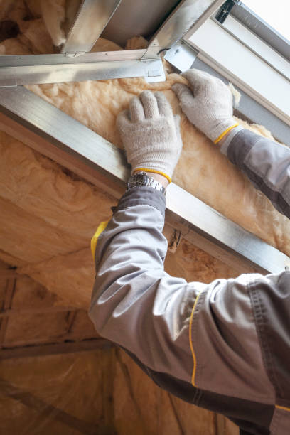 Best Insulation Contractor Near Me  in La Vernia, TX