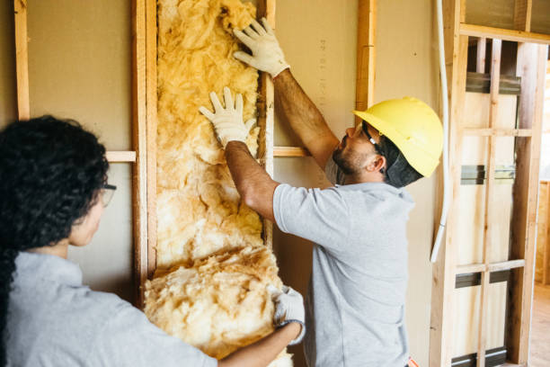 Best Fiberglass Insulation  in La Vernia, TX