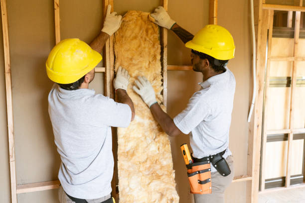 Best Spray Foam Insulation  in La Vernia, TX