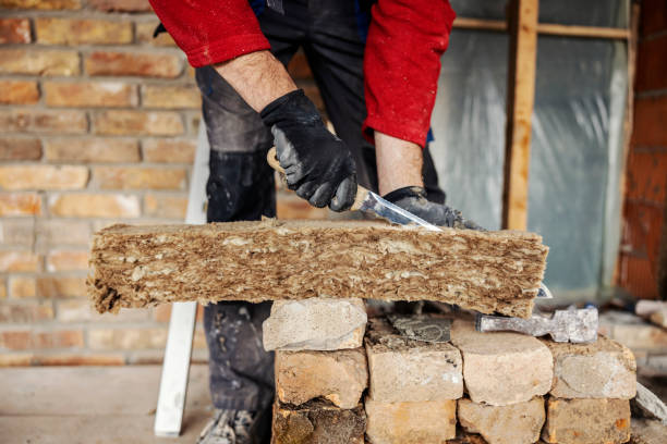 Best Best Insulation Companies  in La Vernia, TX