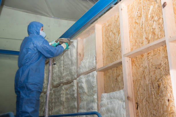 Best Commercial Insulation Contractor  in La Vernia, TX