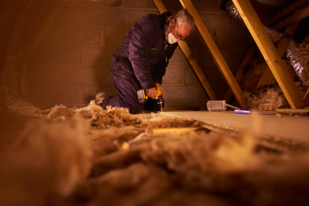 Best Insulation Contractors for Homes  in La Vernia, TX